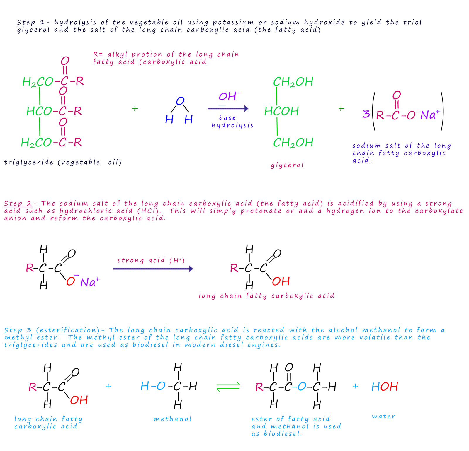 equations to show how vegetable oil is converted into biodiesel